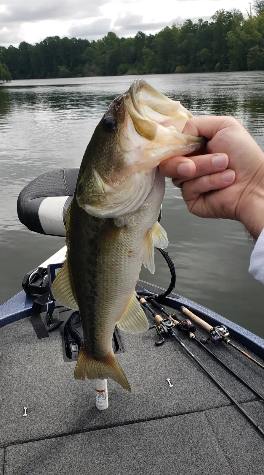 Angler lifting a bass at a WeighBook weigh-in